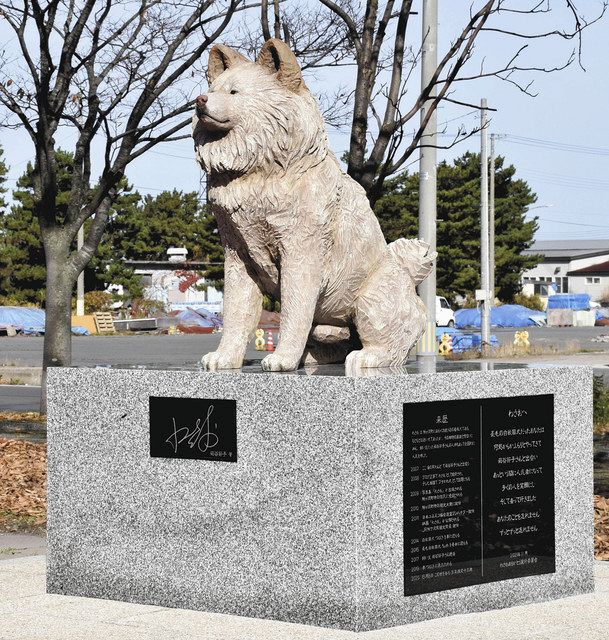 「海の駅わんど」に設置（せっち）された秋田犬「わさお」の記念像＝１１月８日、青森県鰺ケ沢町で