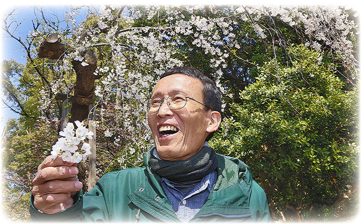白いしだれ桜を発見した田中秀明さん