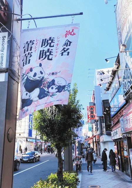 上野動物園近くの路上に飾られている双子パンダの垂れ幕＝いずれも台東区で