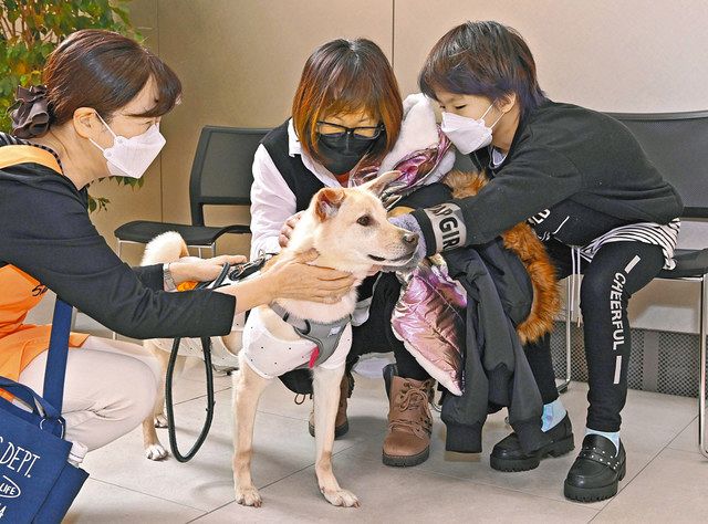 東京慈恵会医科大付属病院で来訪者（右）とふれあうセラピー犬のそらまめ＝いずれも港区で