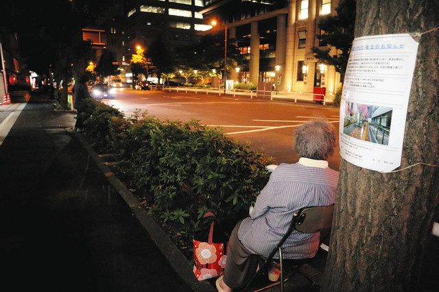 イチョウを保存したまま整備するよう求めている住民らは夜通し、木の下に座り込んでいる。２５日で着手から１カ月となる＝千代田区で