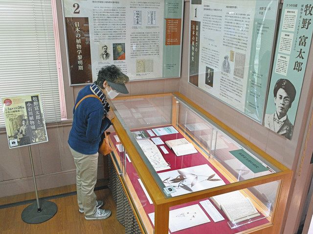 小石川植物園内の柴田記念館に展示されている牧野富太郎に関する資料＝文京区で