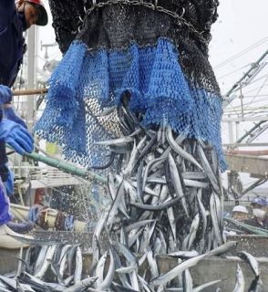 ２４年サンマ漁獲枠、６％削減　最少、不漁で影響限定的か