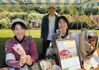 「生田緑地ばら苑」公開始まる　色とりどり800種咲き誇る　記念誌作成目指しクラファン