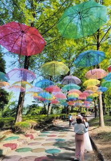 頭上に7色の傘　森をカラフルに　「かんらDEアンブレラスカイ」甘楽総合公園で開催中