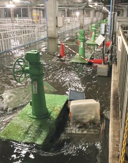 日立豪雨での処理場への浸水　下水管老朽化が一因に　茨城大チームの調査で判明
