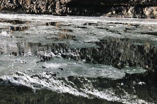 「シガ」久慈川で大量発生　極寒が織りなす川の流氷　独自の予報公表、関根さん　