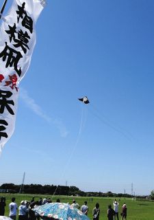 青空舞う相模凧に歓声　横浜でたこ揚げ会