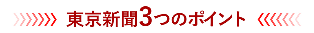 東京新聞3つのポイント