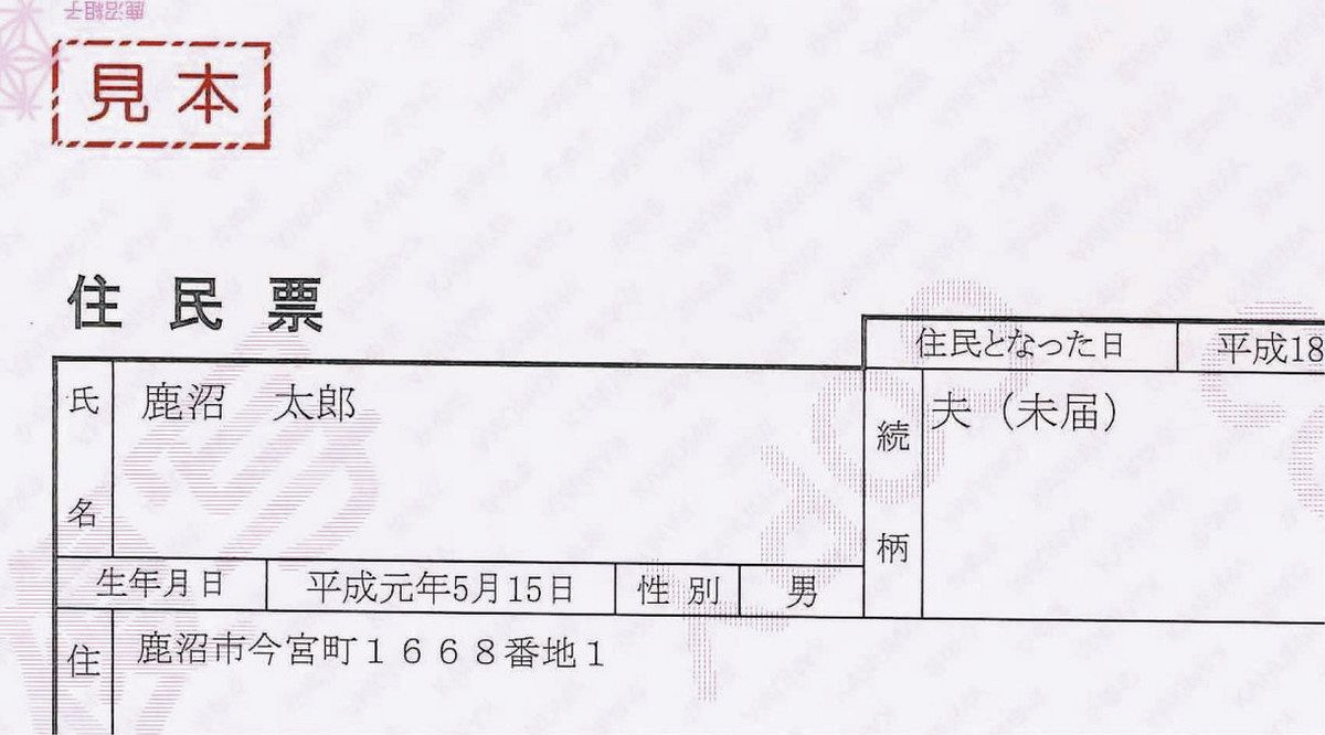 活動歴および当時の関連ビジュアル記録