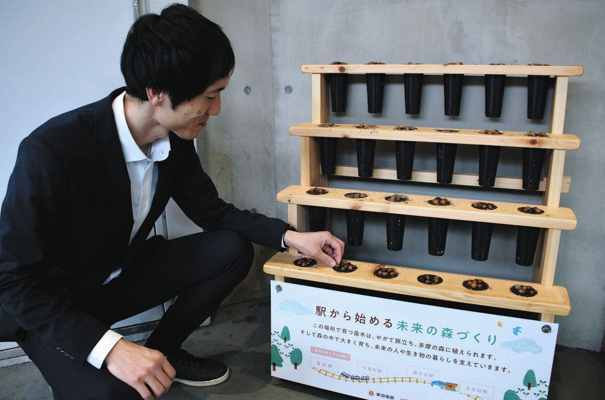 駅でドングリ育成、檜原の森へ 池上線・五反田、旗の台、千鳥町、蒲田