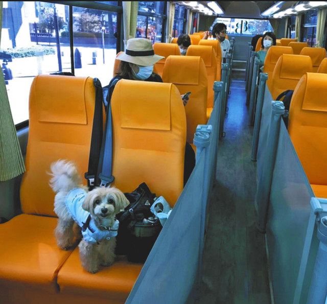 Ｂ・Ｉ・Ｇが企画した愛犬との観光バスツアー。座席と通路をロールスクリーンで仕切り、犬同士がけんかしないよう、左右の座席をずらしている＝Ｂ・Ｉ・Ｇ提供
