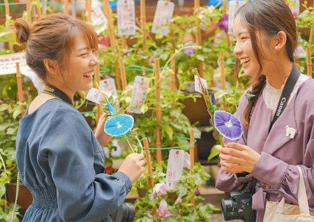 朝顔市で出会った笑顔 入谷のまつり フォトコン 最優秀賞は秋田さん 東京新聞 Tokyo Web