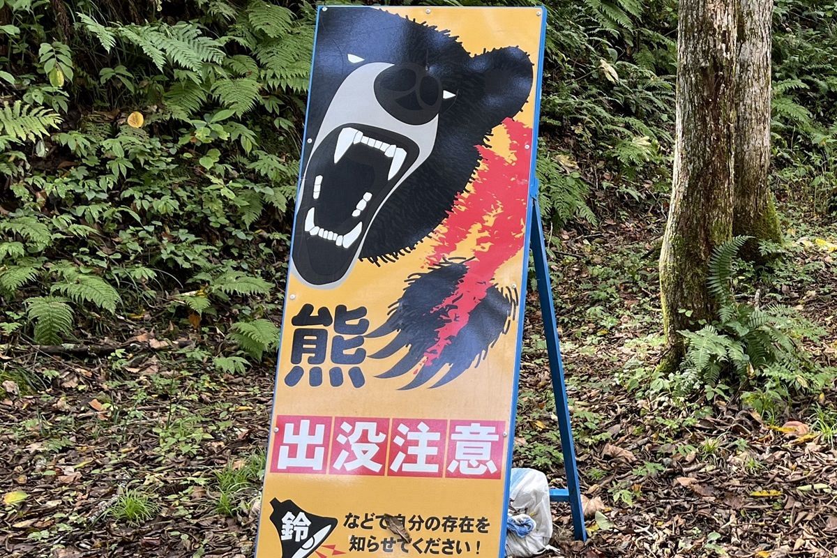 熊 遺体