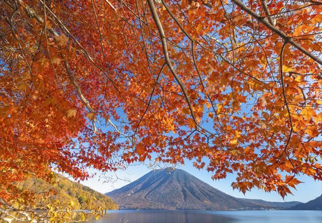 ♪水の上にも織る錦～ 日光・中禅寺湖畔で紅葉が見頃に：東京新聞デジタル