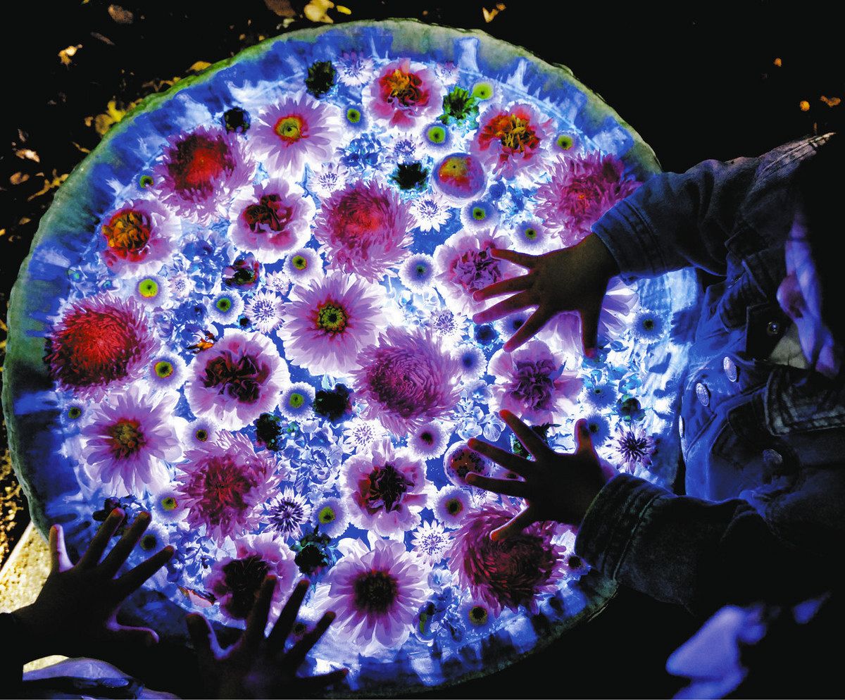 Ditaモノクロ花柄 水彩の十六夜色 Ditaモノクロ花柄 水彩の十六夜色 Ditaモノクロ花柄 水彩の十六夜色