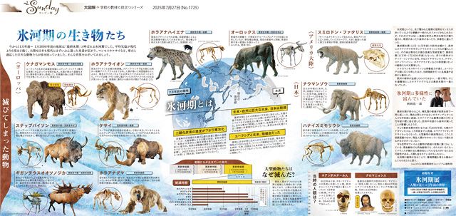 氷河期大型草食動物化石・639g（中国産化石標本） 超大型獣、名古屋 
