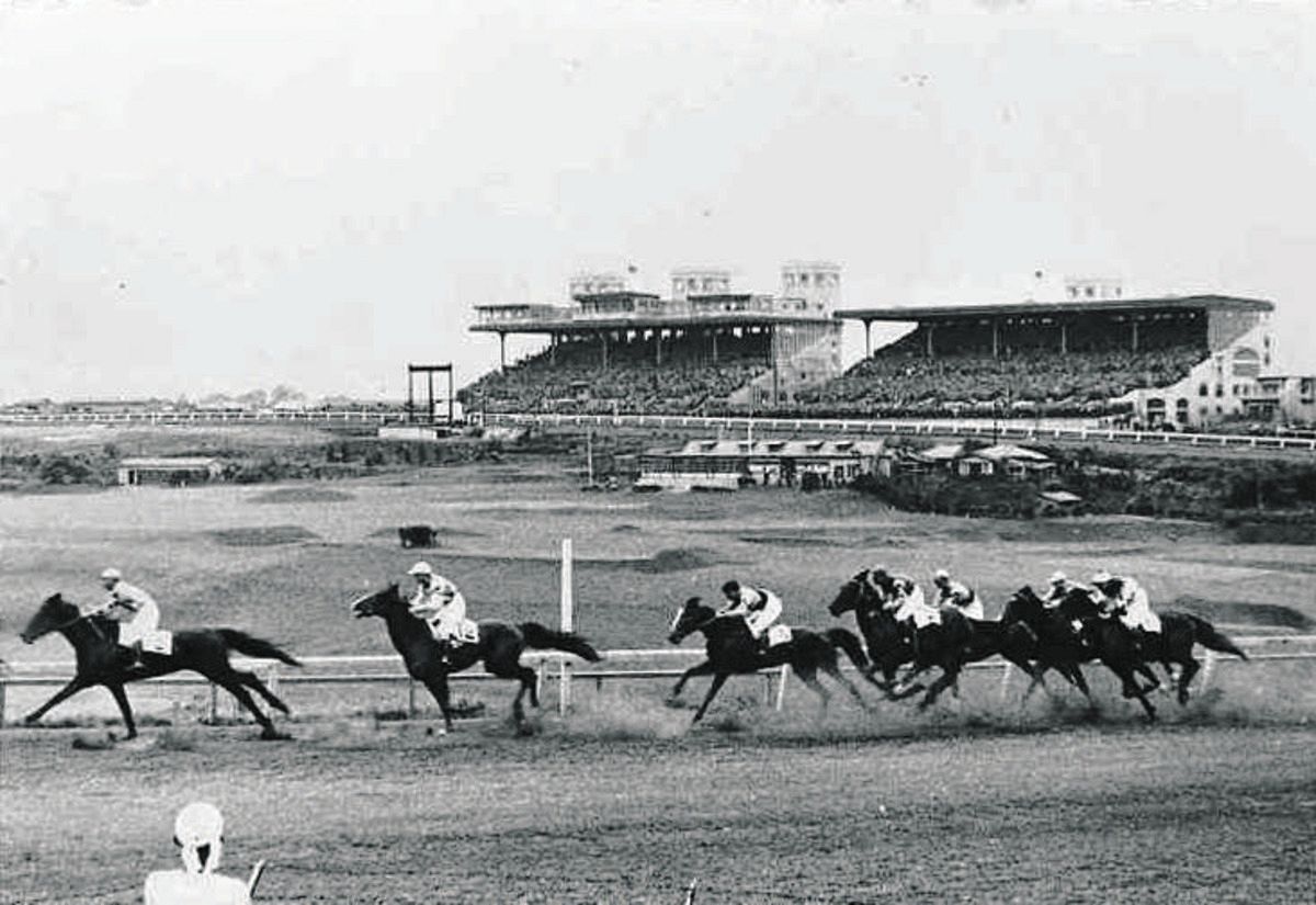競馬】東京競馬場【-】 - C-labo OnlineShop