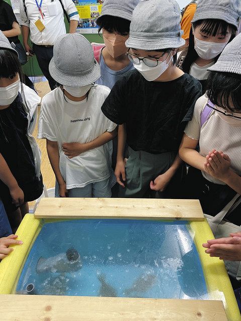 Children looking at the raised flatfish = All at Kodo Elementary School in Adachi Ward