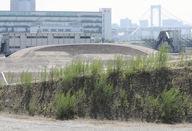 江東区・有明アーバンスポーツパークのＢＭＸコースには雑草が生えている
