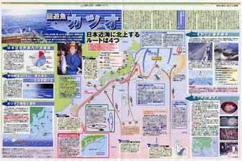 回遊魚 カツオ (No.690)：東京新聞 TOKYO Web