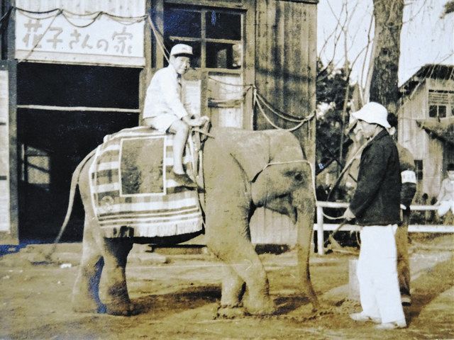 はな子のいる風景（1950年） 私の中に、生涯生き続けている＜一