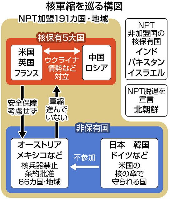 広島 長崎後の核兵器不使用 幸運だっただけ Npt会議 多くの国が核にノーを Ican事務局長インタビュー 東京新聞 Tokyo Web