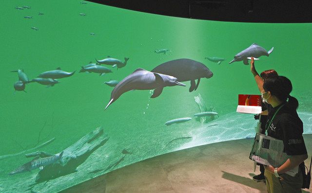 昼と夜で違う顔に 川崎の新水族館 カワスイ 照明 音 映像を駆使 東京新聞 Tokyo Web
