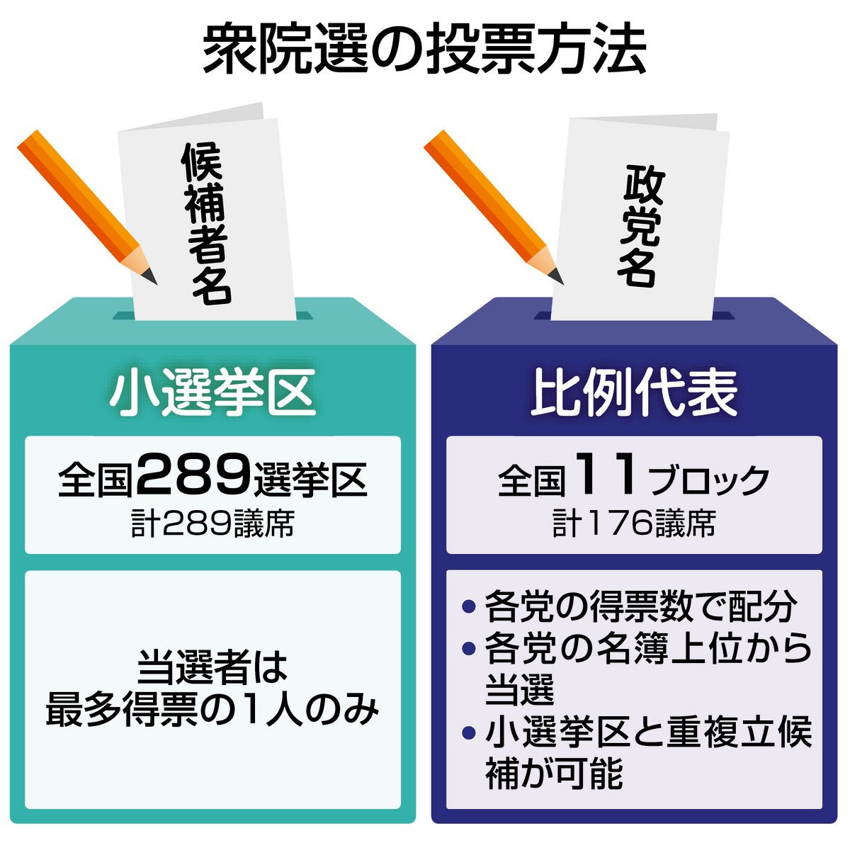 選挙 比例 書き方