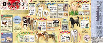 天然記念物　日本犬　【希少学術書】 天然記念物 日本犬【希少学術書】
