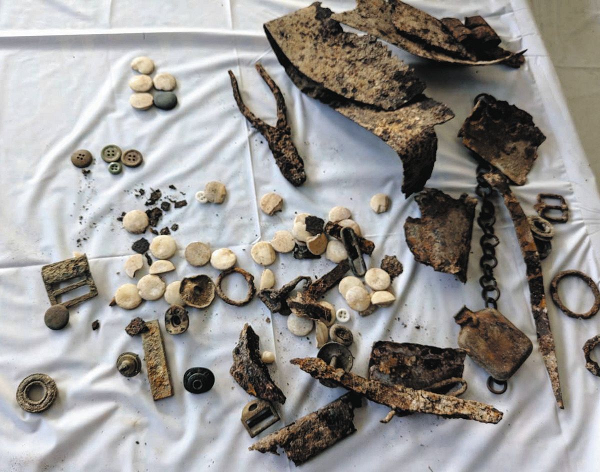 拾った骨 中国産 天野食品 中国産チェリーM 425g | アミカ ネットショップ本店