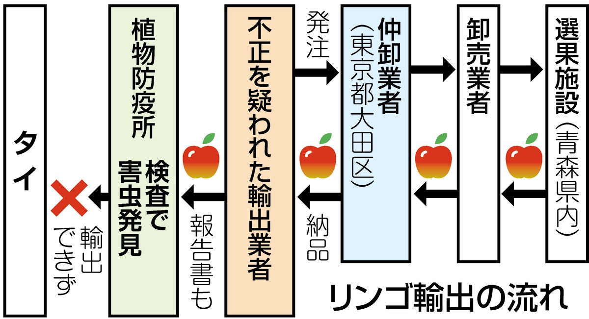 リンゴはなぜタイ向けに化けた？ 不正輸出騒動を記者が追跡したら辿り