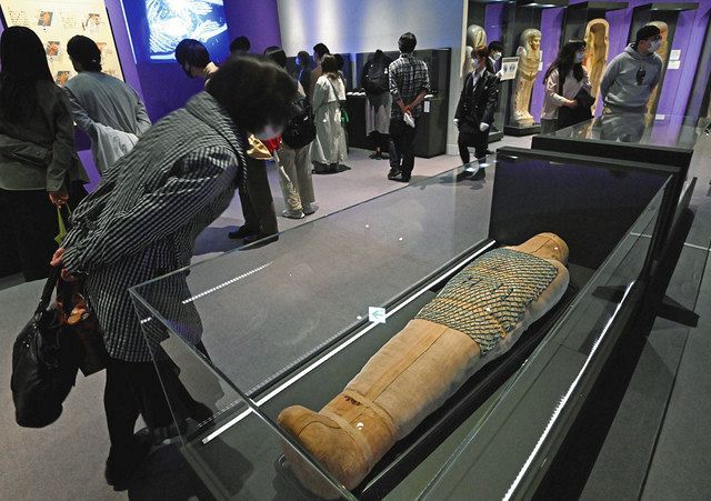 古代エジプト展が渋谷で開幕 ６月27日まで、密避け入場制限も：東京新聞デジタル