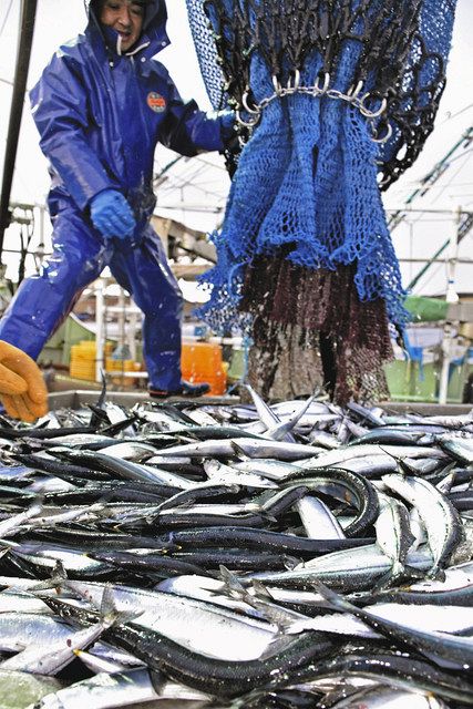 経済編 サンマがとれない 今や高級魚に 東京新聞 Tokyo Web