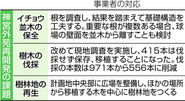 神宮外苑再開発、球場建設でイチョウ保全は本当に大丈夫？ 基本方針変わらず、残る不安：東京新聞デジタル