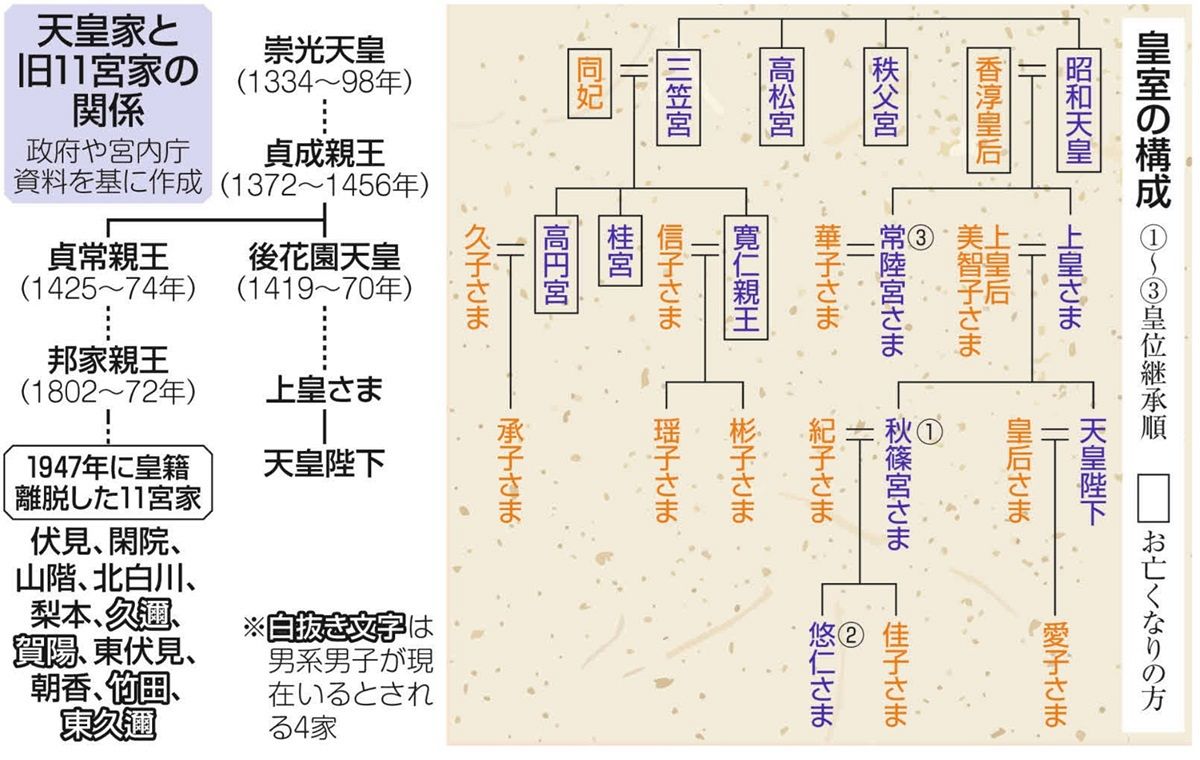 男系 男子