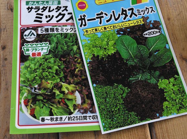 自宅時間 家庭菜園に挑戦 プランターや鉢で手軽に 初心者 葉物お薦め 東京新聞 Tokyo Web