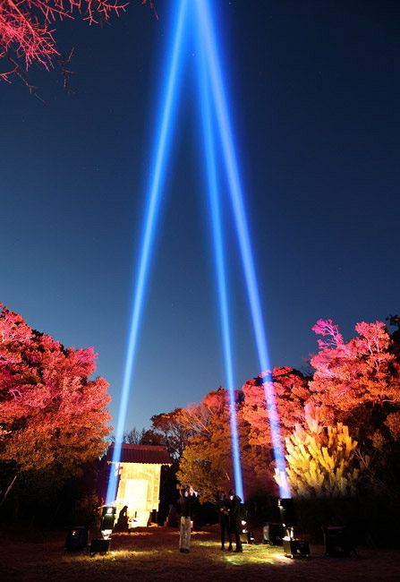 日光東照宮 日光杉 杉 徐災招福 特大 しゃもじ 日光東照宮 日光杉 杉 徐災招福 特大 しゃもじ
