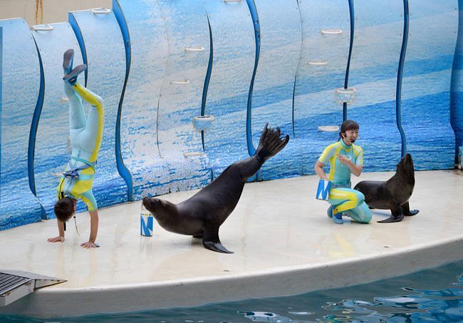 新江ノ島水族館が営業再開 東京新聞 Tokyo Web 新江ノ島水族館が営業再開 東京新聞 Tokyo Web