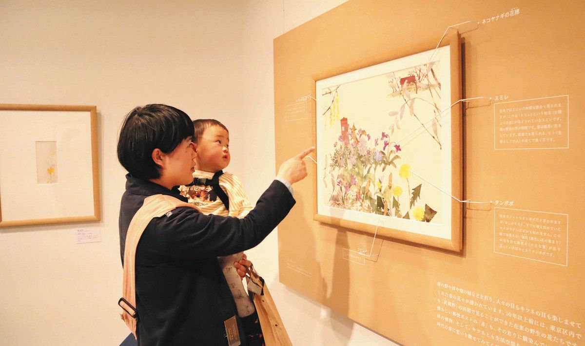 自然との共生、目と心で感じて いわさきちひろ没後50年の記念展 練馬で原画など87点紹介：東京新聞デジタル