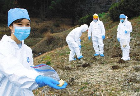 豚コレラ 県内侵入防ぐ 野生イノシシにワクチン散布：東京新聞 TOKYO Web