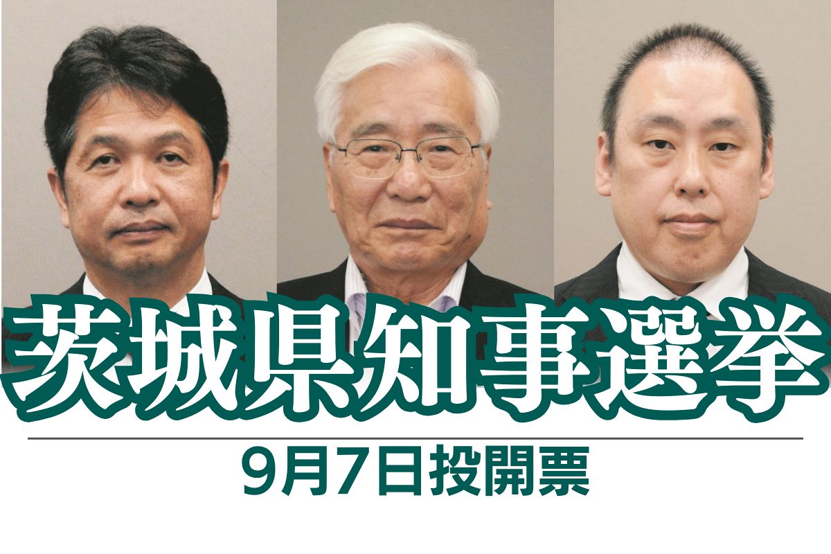 茨城 県 知事 選挙 大井川