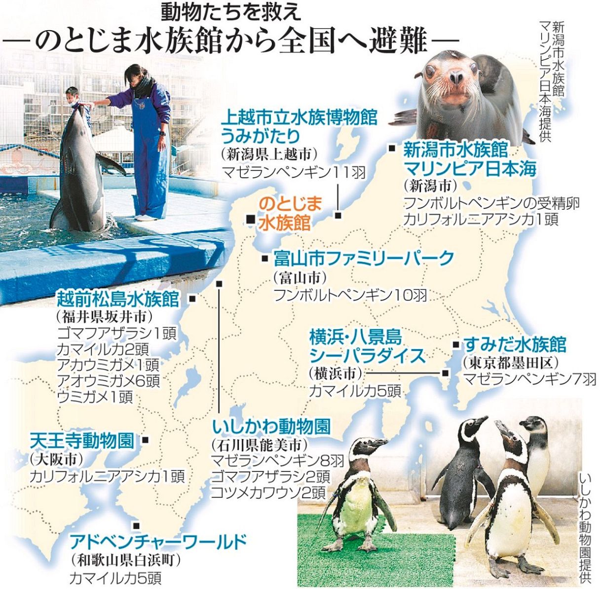 水がない」震度6強の翌日、のとじま水族館の水槽を見た職員は絶句した 