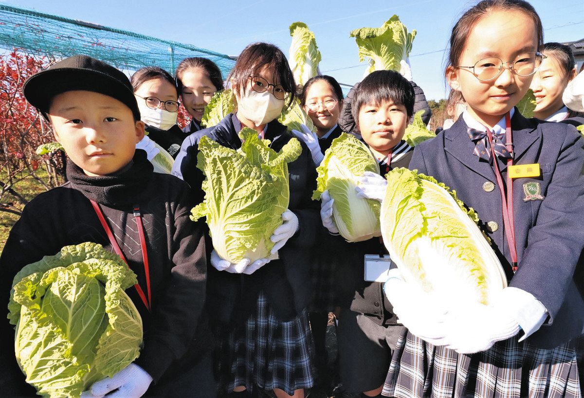 東京韓国学校初等部制服各種