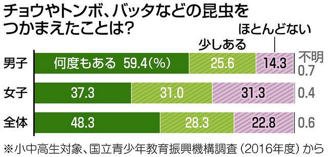 くらしの中から考える 昆虫採集 東京新聞 Tokyo Web