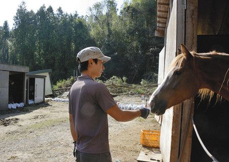 馬は無事 再出発誓う 豪雨で被害 長柄の乗馬クラブ 東京新聞 Tokyo Web