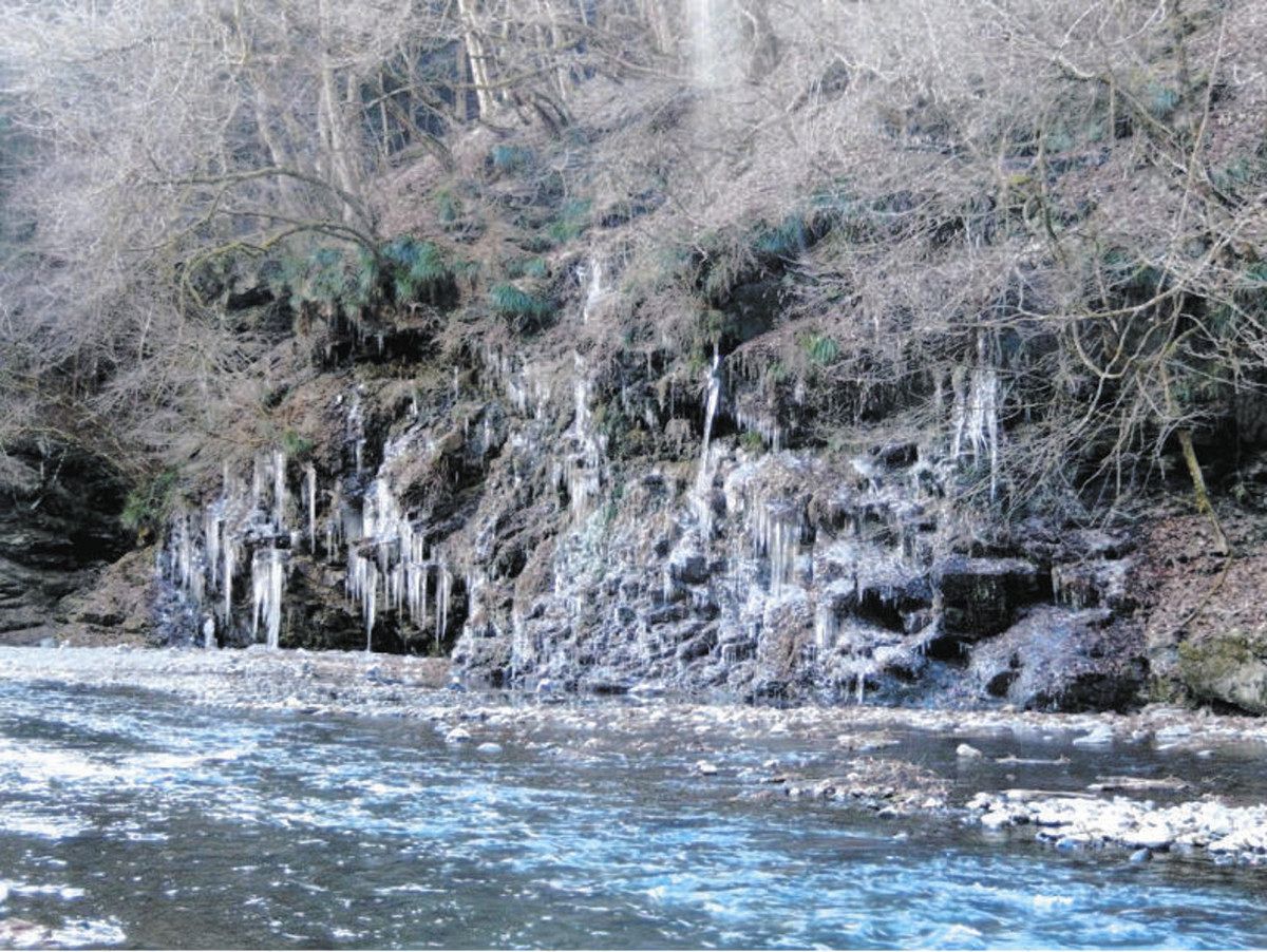 きらめく氷柱 秩父を彩る 各地で公開：東京新聞デジタル