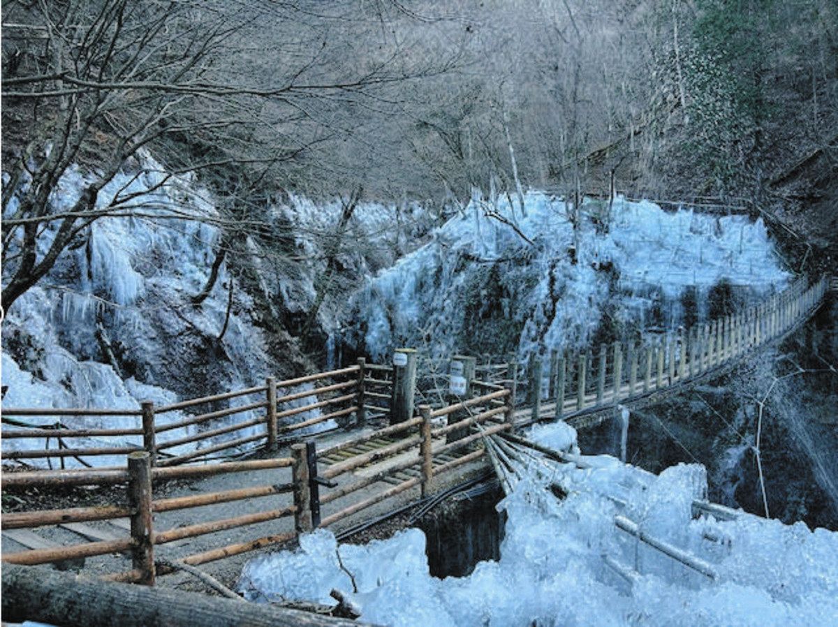 きらめく氷柱 秩父を彩る 各地で公開：東京新聞デジタル