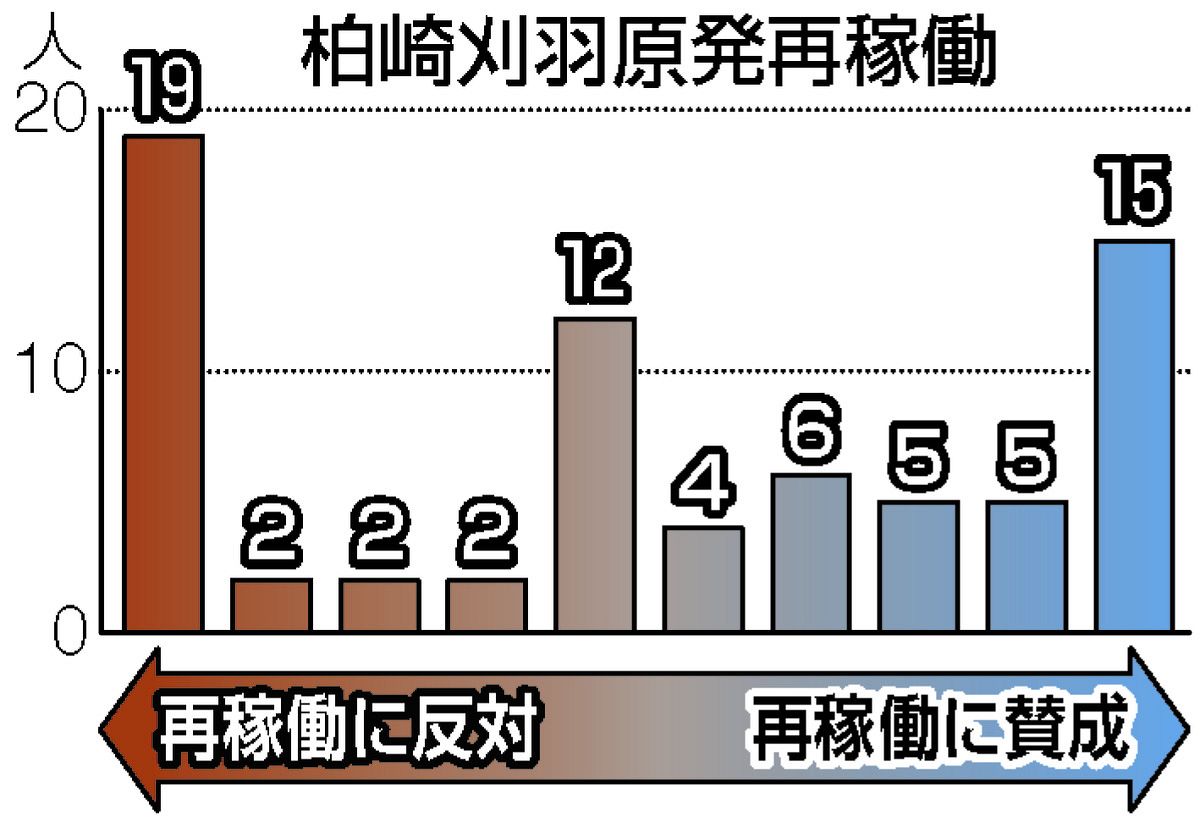 柏崎刈羽原発の再稼働へのスタンスは？ 参院選1都3県の候補者に賛否の度合いを10段階評価で聞いてみた：東京新聞デジタル