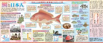 鯛と日本人 No 1091 東京新聞 Tokyo Web 鯛と日本人 No 1091 東京新聞 Tokyo Web